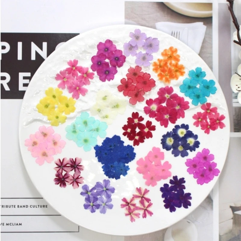 12 Stück, echte getrocknete Blumen, Prägematerialien, DIY-Zubehör für Epoxidharz, für Handyhüllen, Nagelkunst, Gesichtsaufkleber, handgefertigte Dekoration – Detail 6