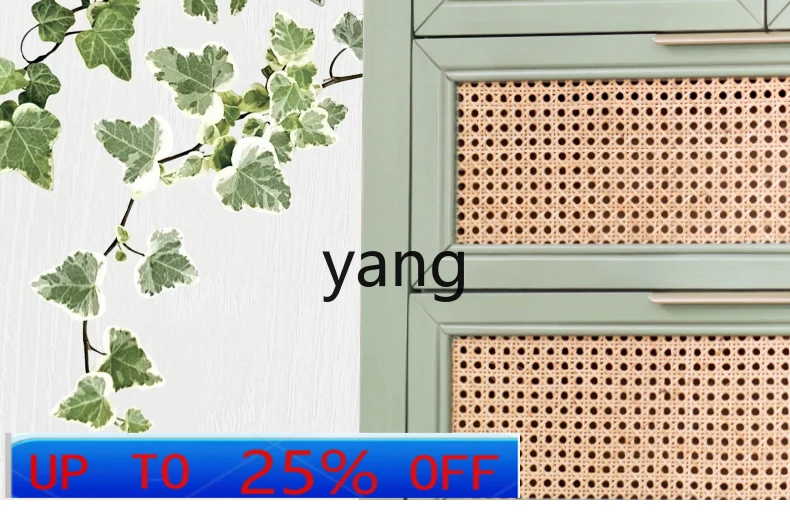 

CX Natural Rattan Tea Table Living Room Oval Tea Table Simple Rolling Door Low Table