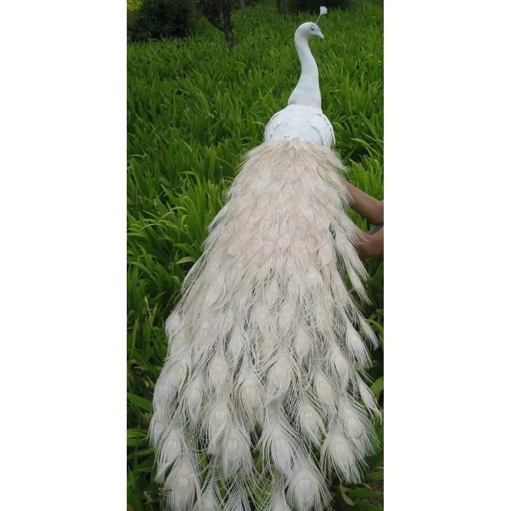 

white long tail simulation foam&feathers peacock hard model garden decoration gift about 150cm s2248