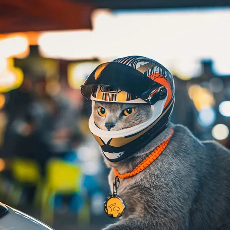 Imagem -04 - Capacete Completo da Motocicleta para Pet Capacete ao ar Livre Chapéu de Equitação para Gato e Cachorro Pet Shop