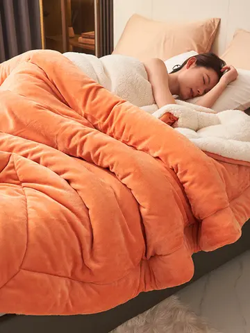 Super Soft Imitation Lambswool Blanket Autumn Winter Double Queen Blankets High Quality Comfortable Milk Fleece Sofa Blanket
