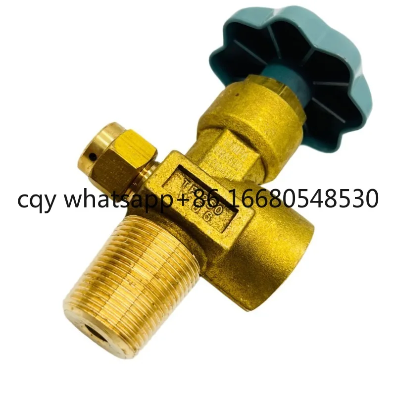 CGA580 Flapper-Type…