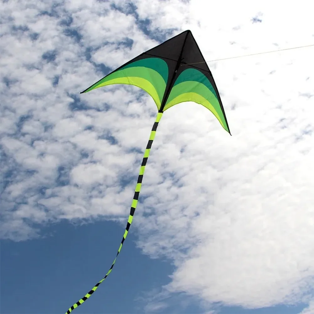 New Easy Fly 1.6m Large Delta Kite Long Tail Ripstop Good Flying Kite with 100M Kite Line Children Outdoor Kites Kid&Adults