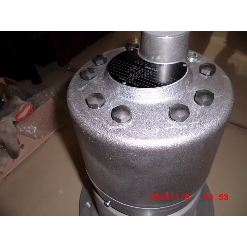 

2026 Hot Item Germany Hawe R25 radial piston pump