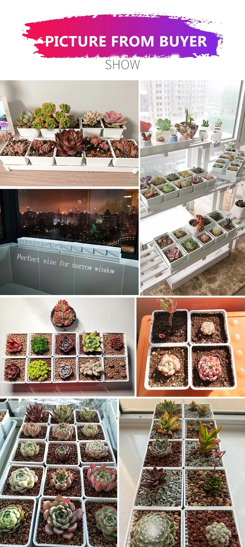 Meshpot Quadratische Sukkulenten-Pflanztöpfe mit Drainageschale – Blumentöpfe im nordischen Stil für Kaktus, Lithops, Pflanzen, Hausgarten – Detail 12