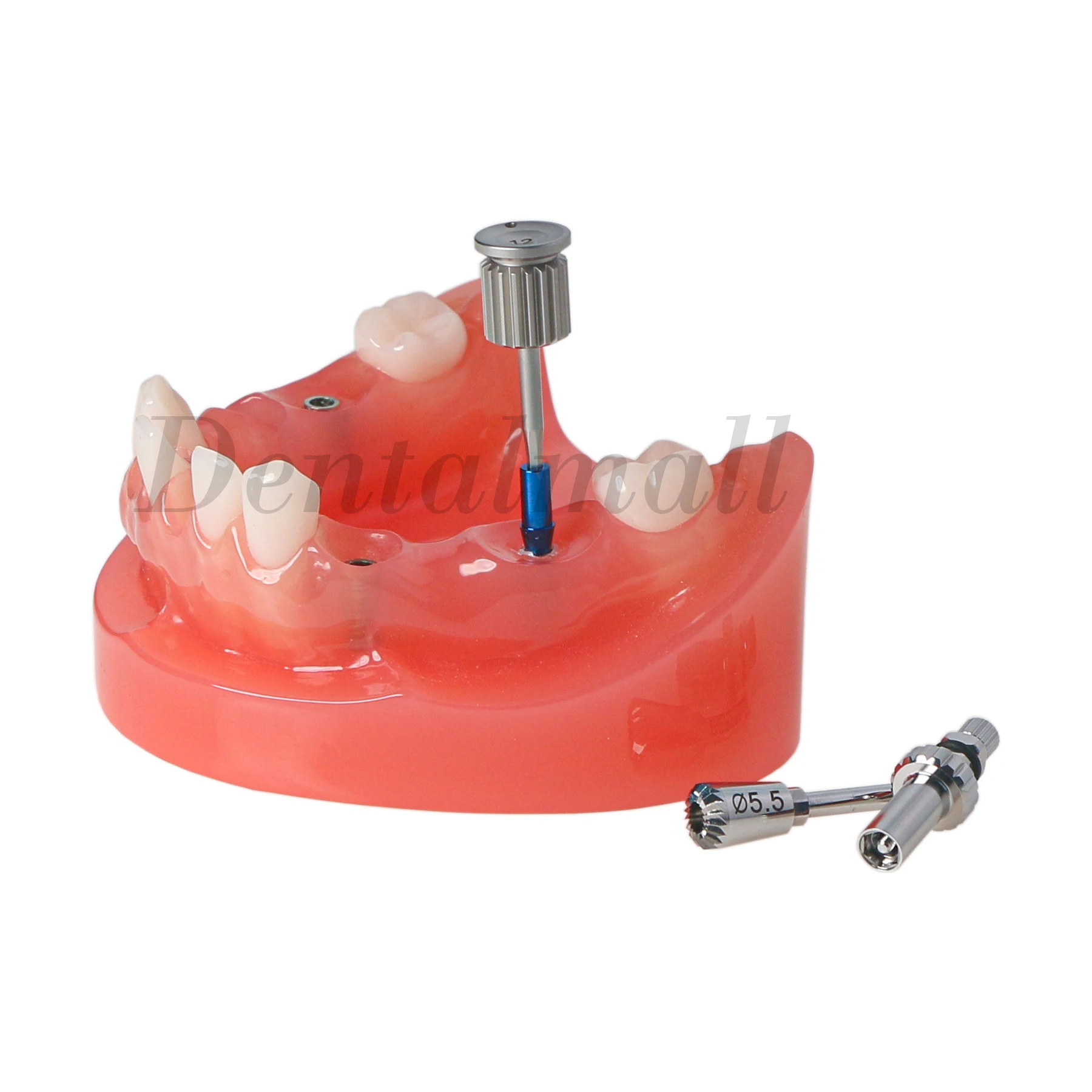 

Dental Implant Restpration Teeth Model M6019 Guide Screw Bone Profiler Ø4.0/4.5/5.0/5.5/6.0 Fit Hiossen OSSTEM