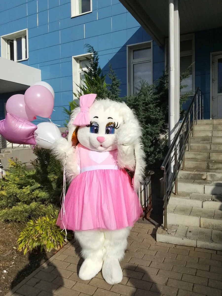 

Pink Dress Cute Rabbit New Year White Bunny Mascot Costume Adults Advertising Walking Doll Suits Halloween Carnival Outfit