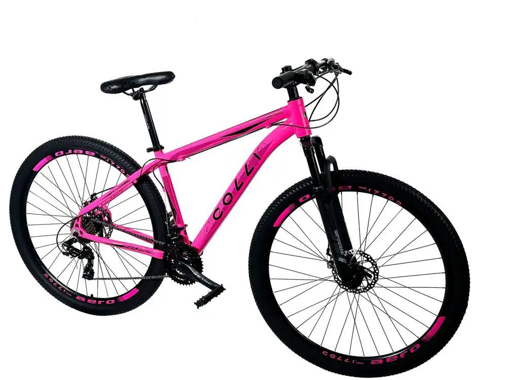 Bicycle Ro 29 Colli Atalanta Disc Brake