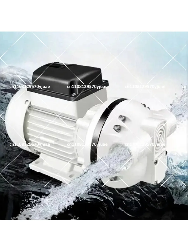 Self-priming Electric Diaphragm Pump 220V Anti-corrosion Chemical Transfer Pump