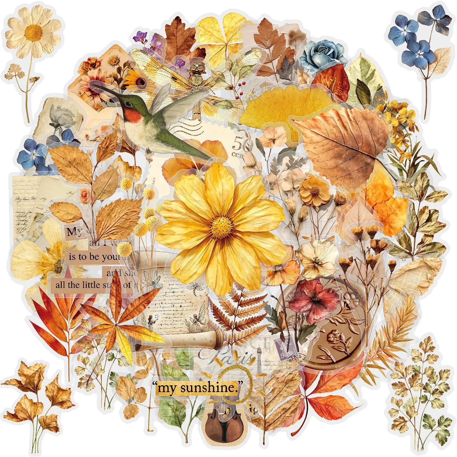 50 Pcs Vintage Artistic Plant Flower Graffiti Stickers Transparent PET Waterproof Decals for Journal Water Bottle Scooter Laptop