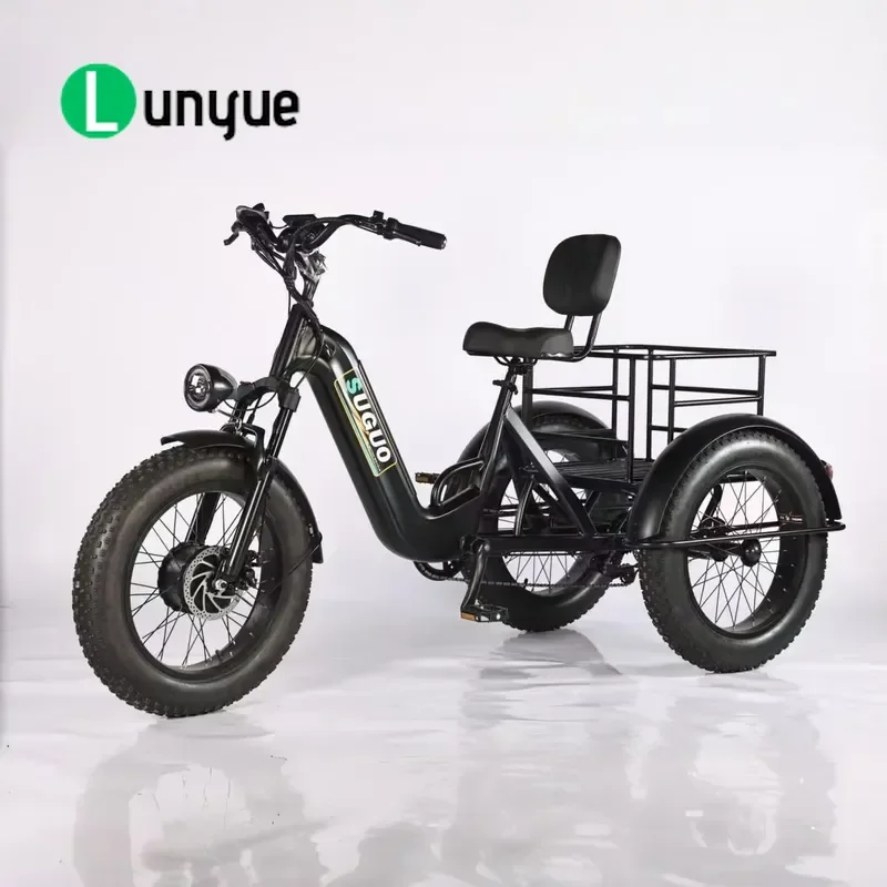 48V Electric Tricycle 20 Inch Wide Tire Snow Pedal Power Built-in Lithium Battery Long Life Front Hub Motor E-bike for Adults