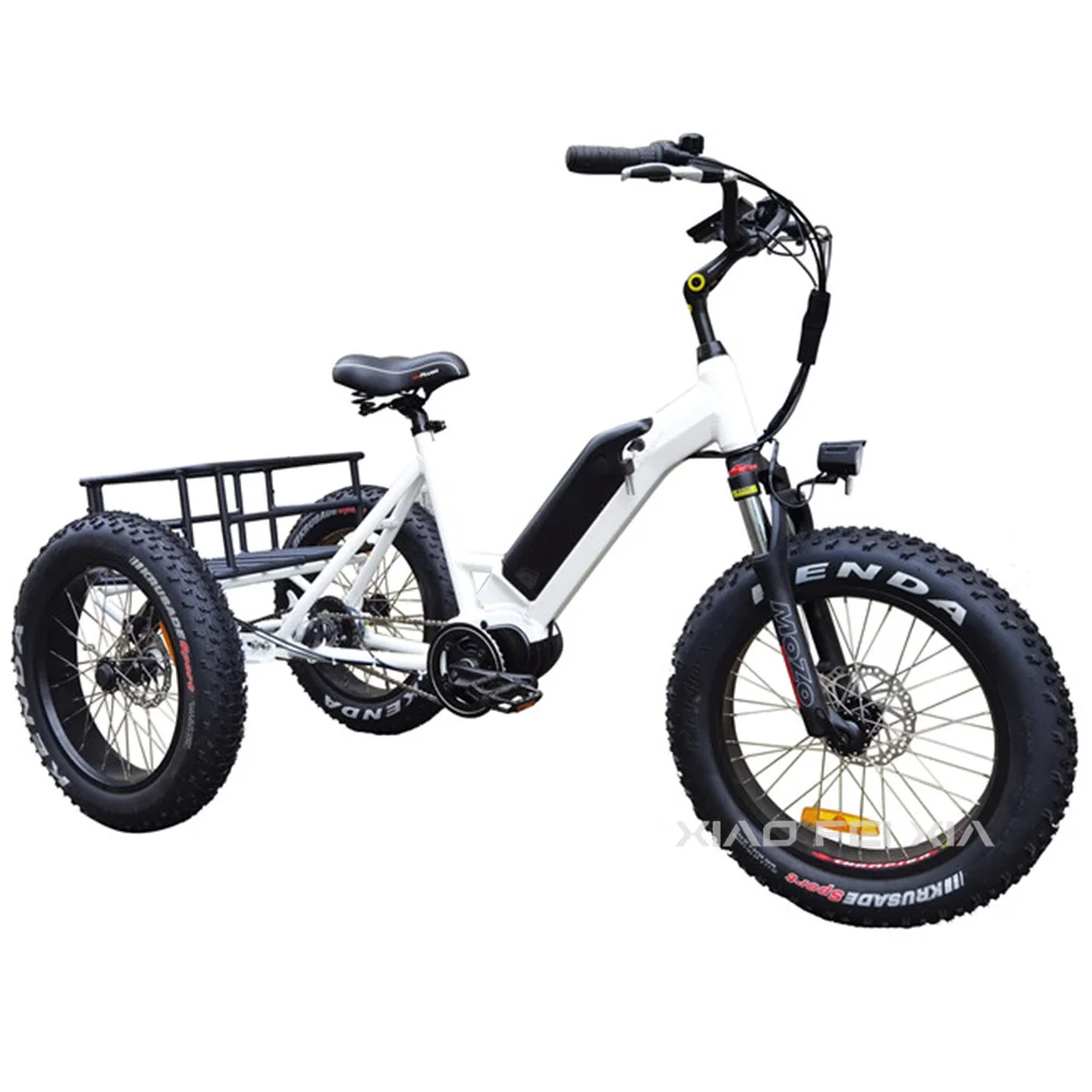 48V 350w/500w/750w Mid Drive Trike 15Ah Removable Lithium Battery 24