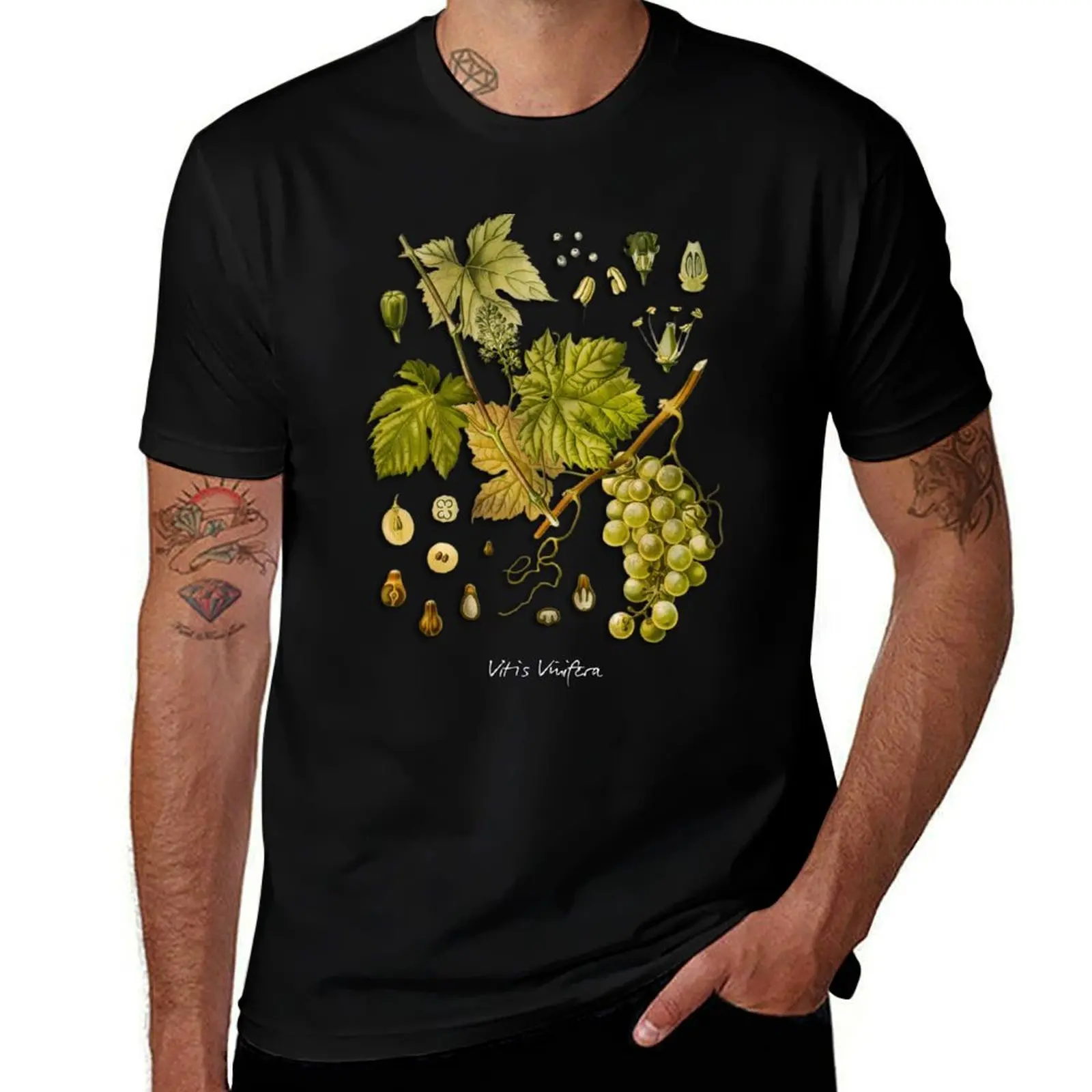 Футболка Vitis vinifera, повседневная уличная одежда, футболка с короткими рукавами