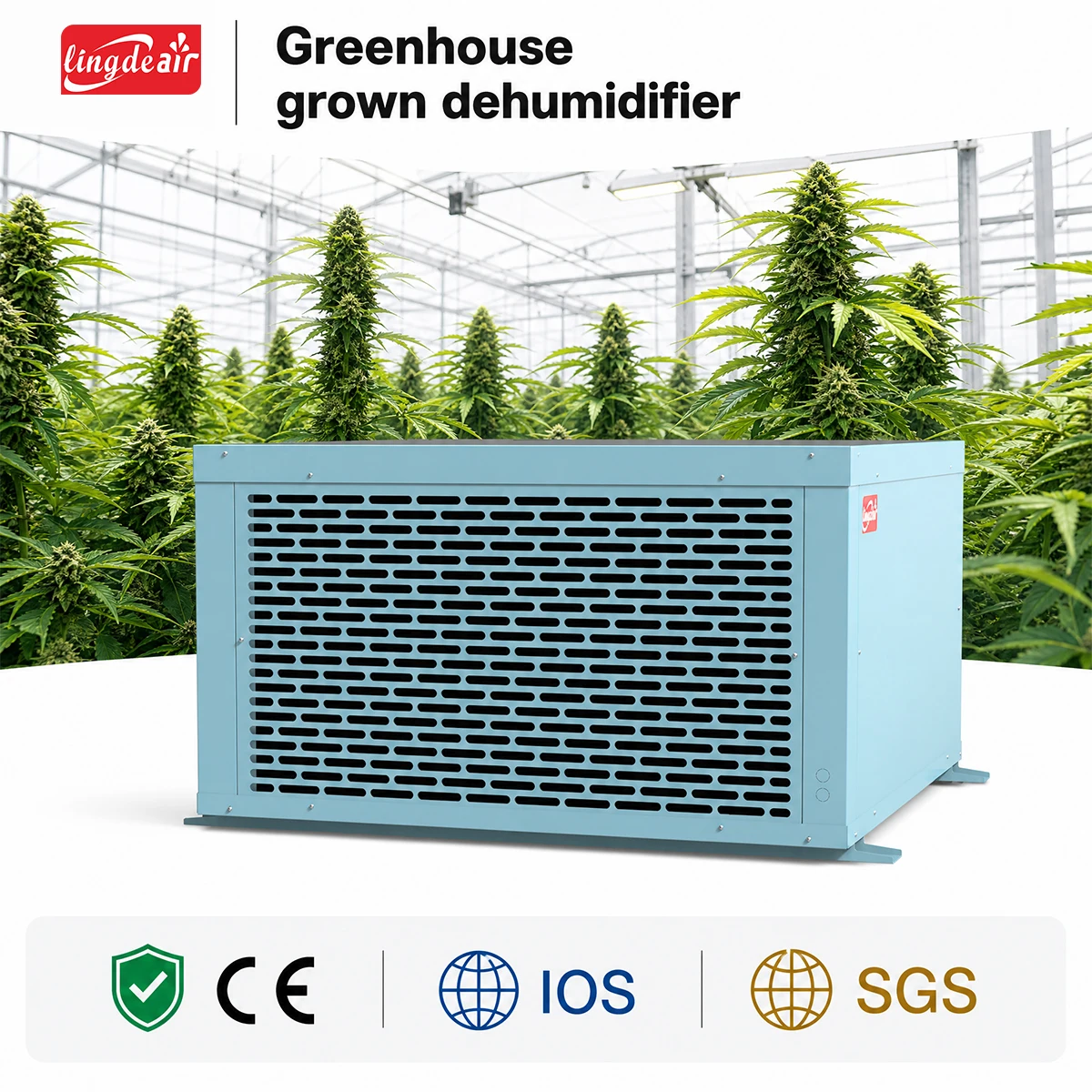 Ceiling Mounted High Capacity Industrial Dehumidifier With Intelligent Humidity Control For Greenhouse And Hydroponic Planting