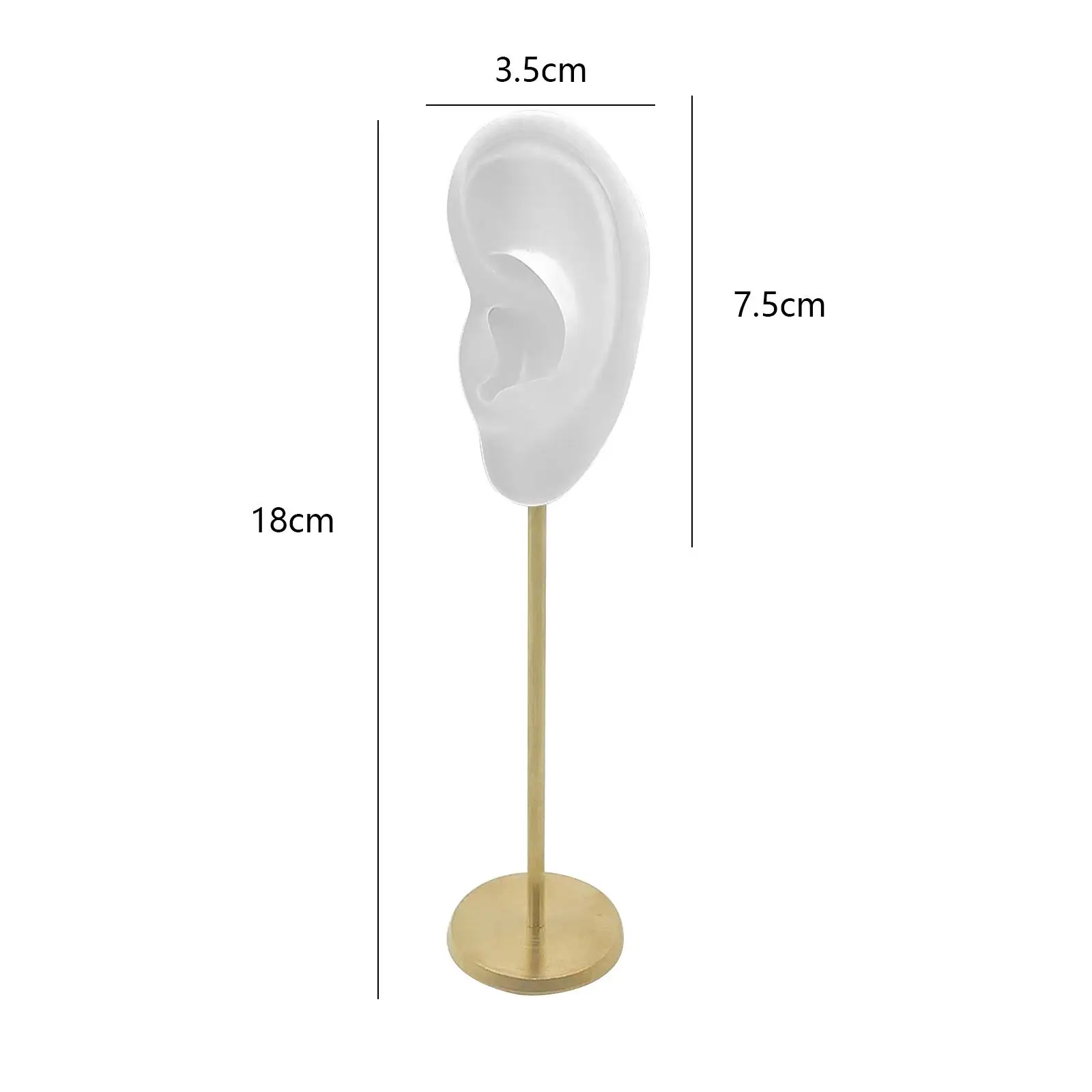 حامل عرض القرط المتين على شكل أذن دعائم عرض التصوير الفوتوغرافي