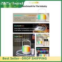 RGB Colorful LED Light Bluetooth 5.3 PA Speaker Wireless Dual Microphones KTV DSP System 3D HIFI Stereo Surround Easy To Use