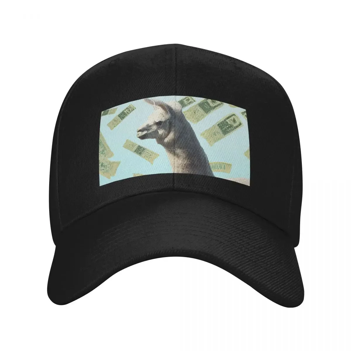 

Raining Money on Llama Baseball Cap sailor cap for men Cosplay hats for men Snap Back Hat Women's Beach Men's