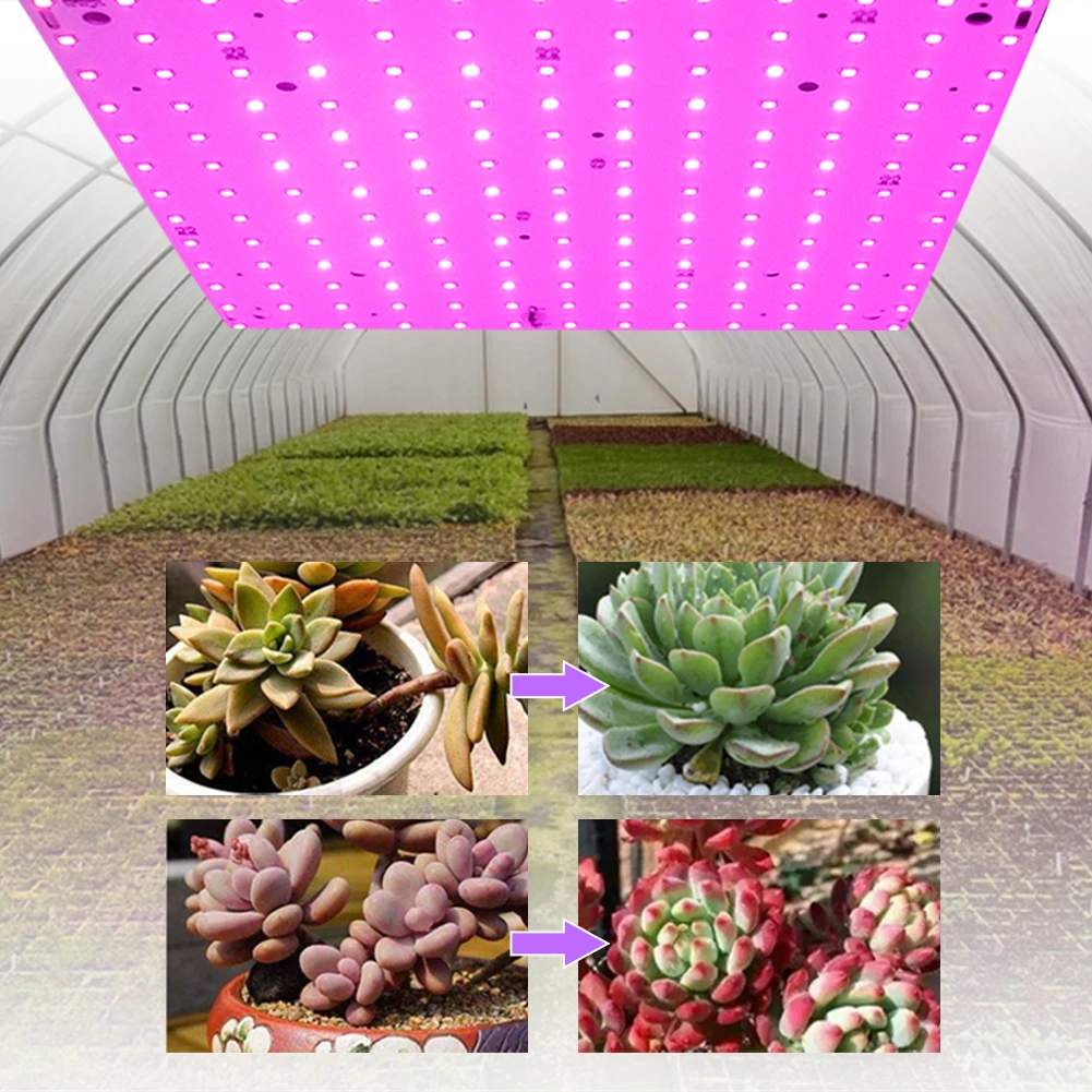 Imagem -06 - Espectro Completo Cresce a Luz Luzes Quadradas da Planta Jardinagem Interior Legumes Crescem Barraca 12w