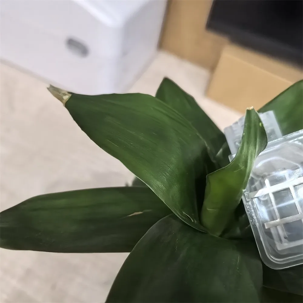 

20PCS DX5 DX4 big ink damper for EPSON DX5 DX7 XP600 TX800 4720 I3200 Mutoh Galaxy Xuli printer ink dumper filter