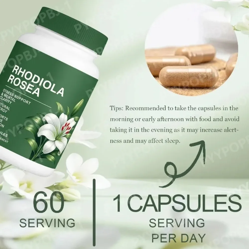 Rhodiola Rosea Capsules 500mg Herbal Supplement for Daily Energy Balance Mental Focus Adaptogen Plant Extract 60 Capsules