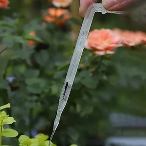 5 Main Sales Got Gota Got - №1