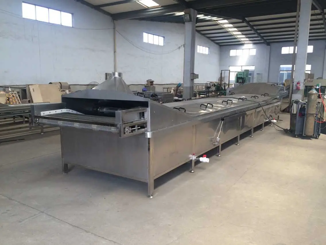Automatic Air Bubble Vegetable Fruit Washing Machine Complete Processing Line for Cleaning Drying Sorting-Service Equipment