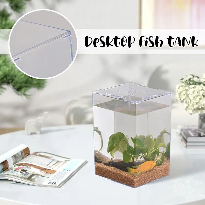 Petit aquarium carré transparent pour la décoration intérieure, récipient précieux pour poisson rouge, accessoire de bureau