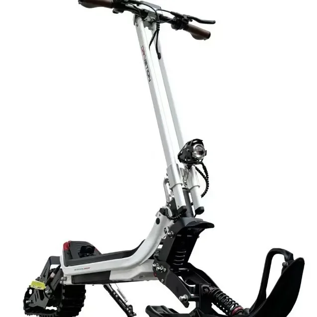 

2025 hot sale electric snowmobile three-in-one version three modes DIY free switching directly from the manufacturer