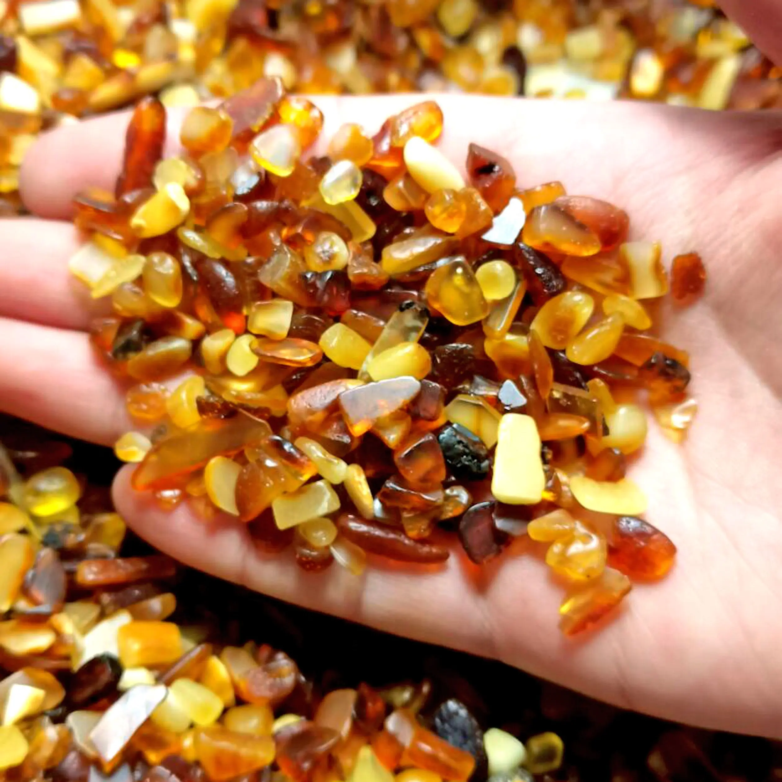 1/4lb SMALL NATURAL BALTIC AMBER STONES