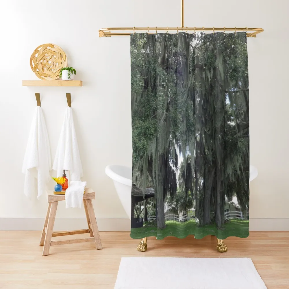

Grand Old Live Oak Trees by Orikall Shower Curtain Shower Set For Bathroom Bathroom Accessory Bathroom Accessories Curtain
