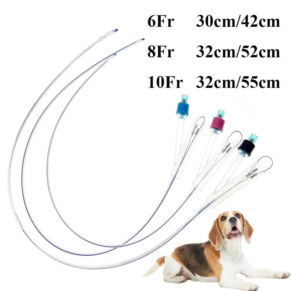 

Professional Canine Dog Foley Double Ways Silicone With Stylet Guide Wire Urinary Retention Catheter Tube Disposable 10PCS