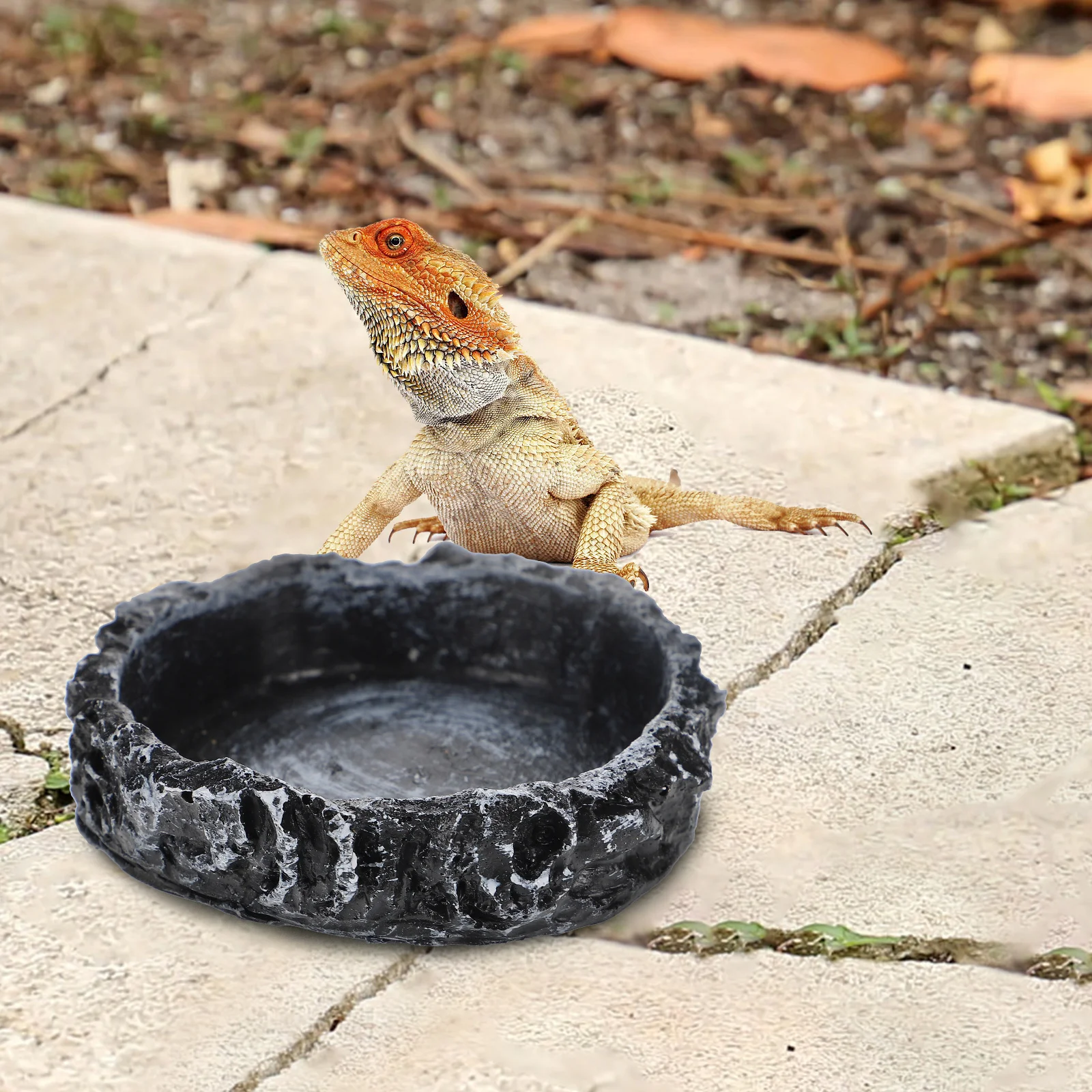 

Tortoise Food Feeder Reptile Water Dish Durable Food Feeding Container For Lizard Snake Crawl Pets Habitat Accessory