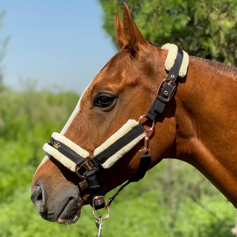 Hot Selling Horse Cow Halter Lead Rope with Soft Fleece Padding Anti-Wear Thick Protective Traction Strap for Livestock
