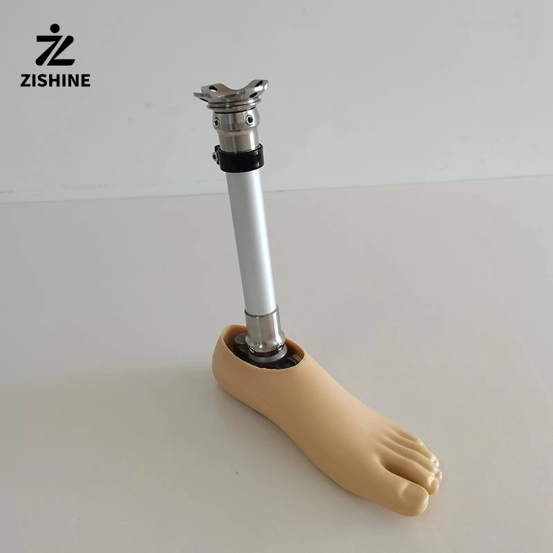Prosthetic Leg Foot Set with Single Hole Dynamic Ankle Stainless Steel Pylon Tube - Artificial Limb Parts for Below Knee Amputee