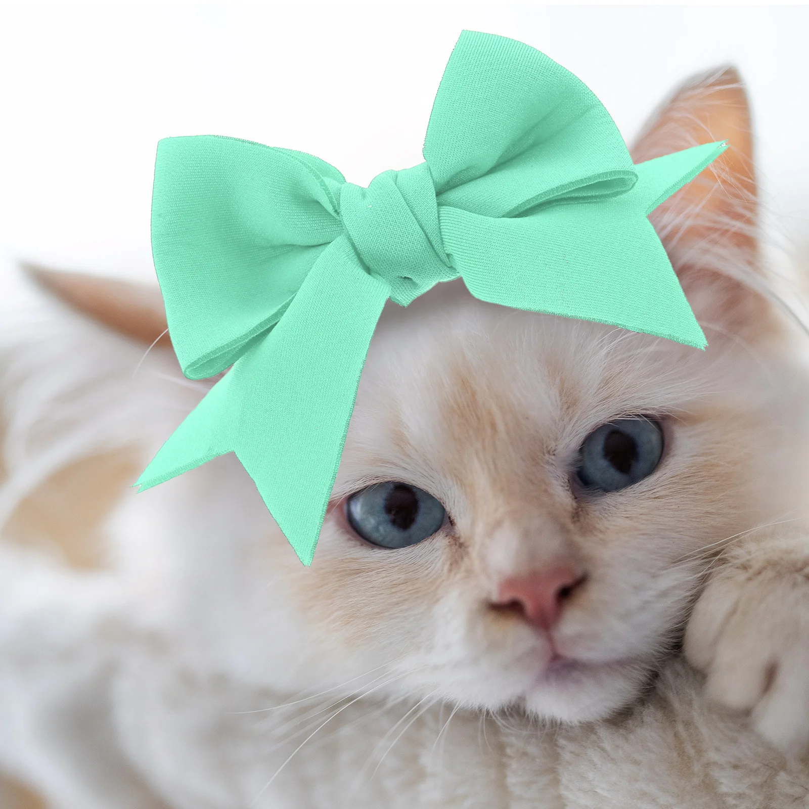 

Party Bowknot Dog Headband Bowknot Hair Band for Festival Puppy Halloween Party Pet Hair Decorations Dog Headband