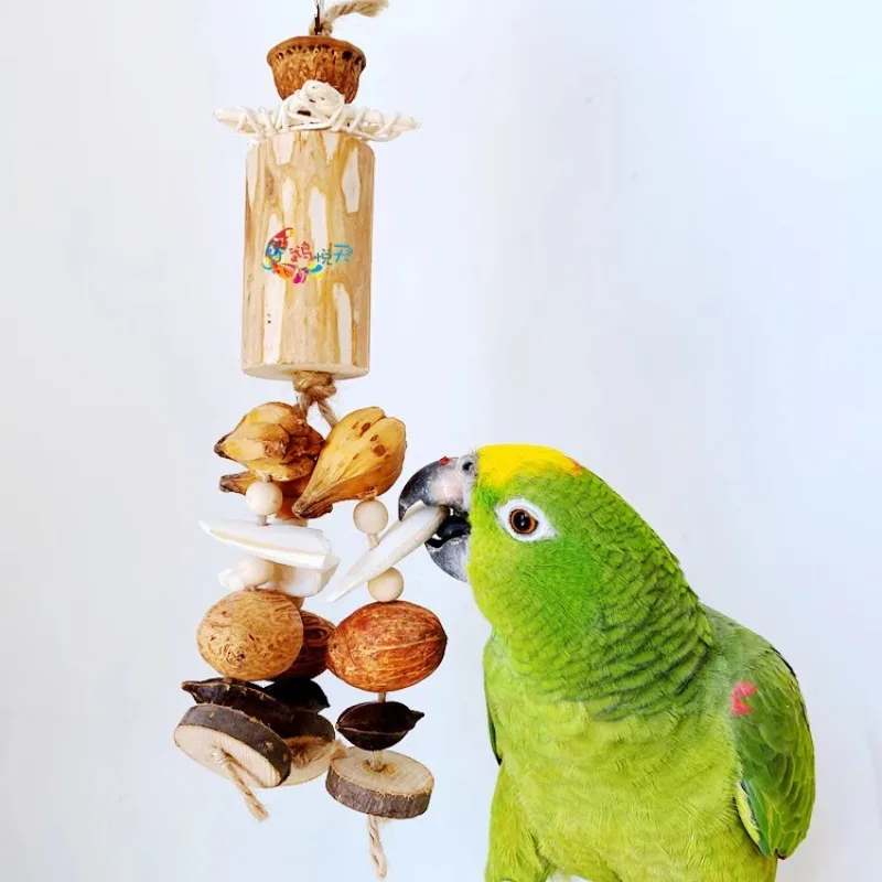 Hanging Parrot Bird Molar Toy Parrot Bite Pet Bird Toy for Parrot Training Bird Swing Biting Toy