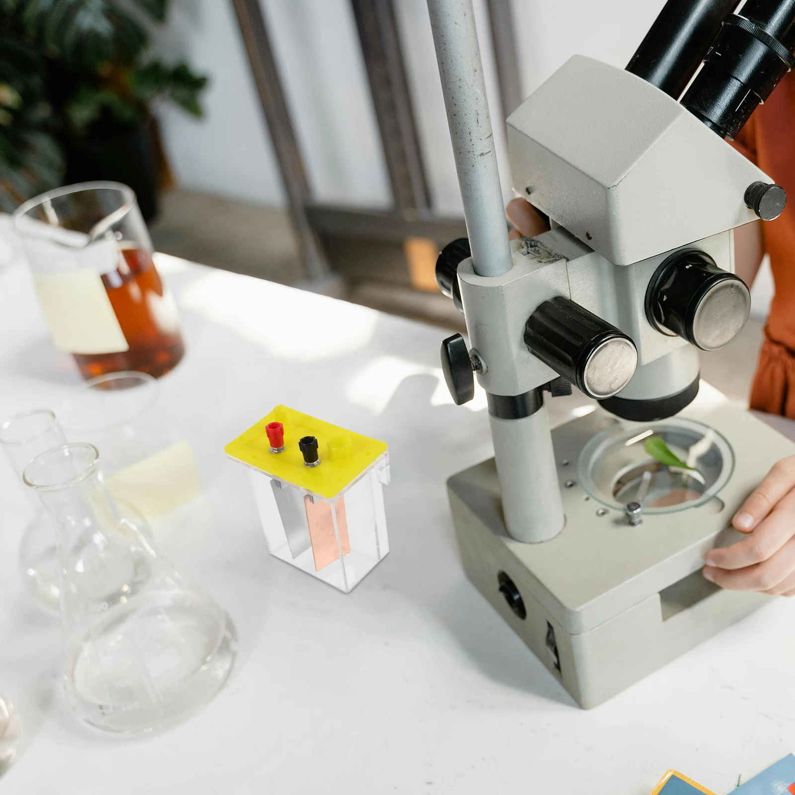 

1 set Salt Water Box Physics Experiment Plates Kids Physics Experiment Fruit Project Electricity Science Tool