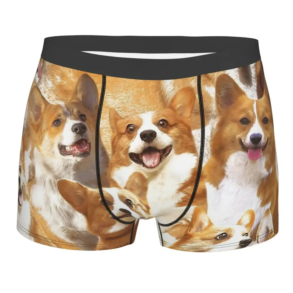 Calzoncillos de algodón para hombre, ropa interior Sexy, b�xer, Meme Corgis Animal