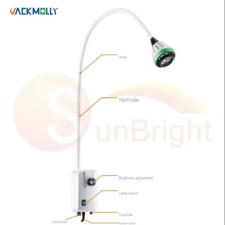 Surgical Check Lamp Medical Examination Lamp For examination/surgery/pedicure/manicure Ground Mobile Halogen lamp