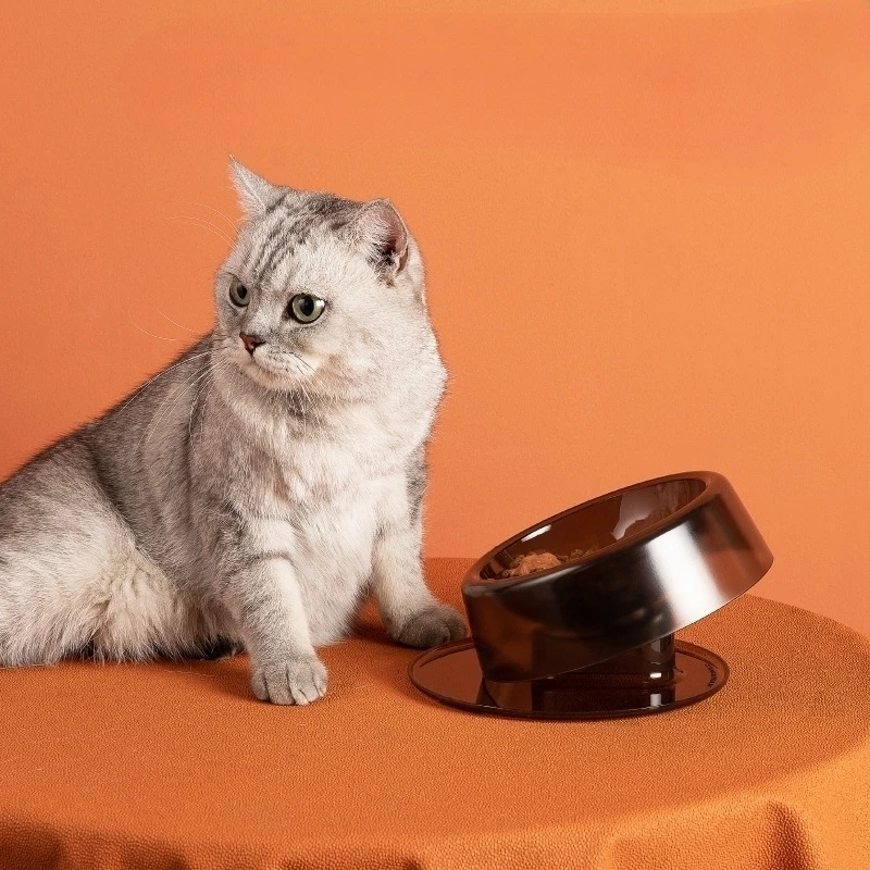 

Pet Dogs, Cats, Feeding And Drinking Bowls, Anti Tipping, Adjustable Angle, Cervical Protection, Durable And Easy To Clean