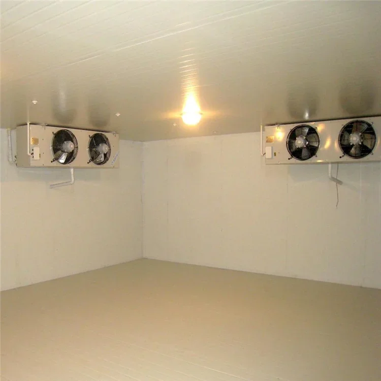 Refrigeration Walk in Cooler Freezer Storage Cold Room for Hotel / Supermarket / Restaurant