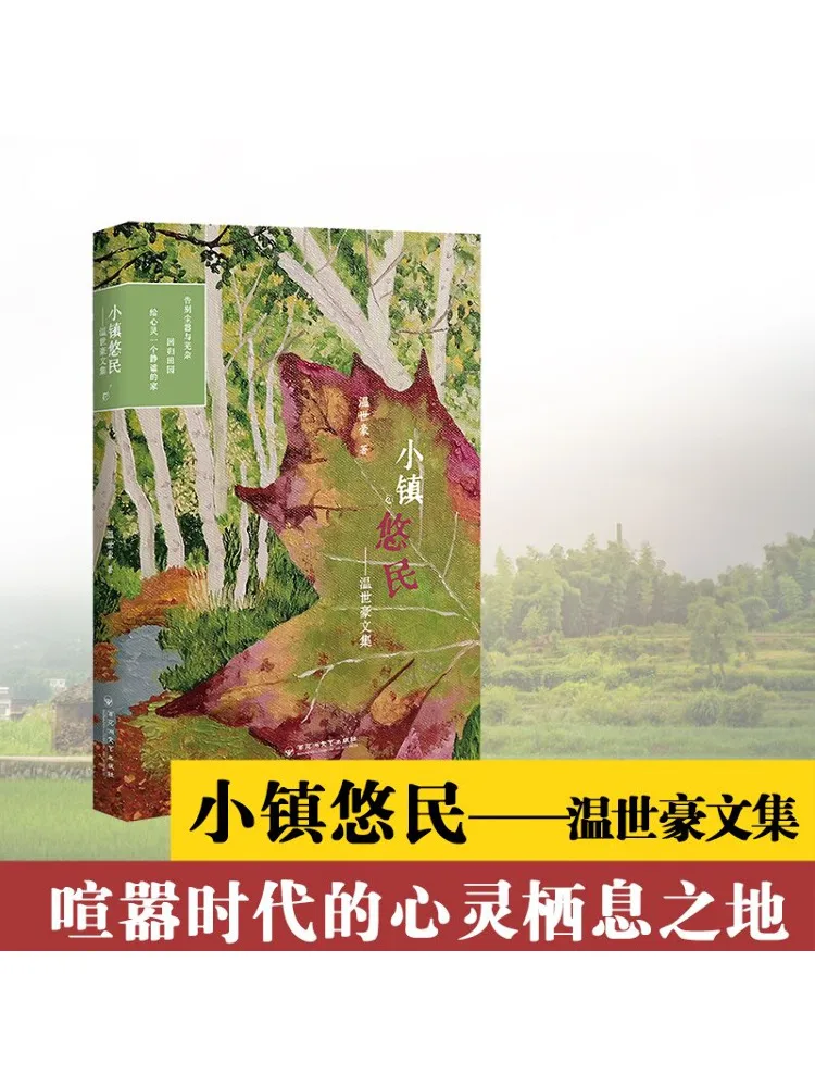 

Книга-Winshare Small Town Youmin Wen Shihao's Collection