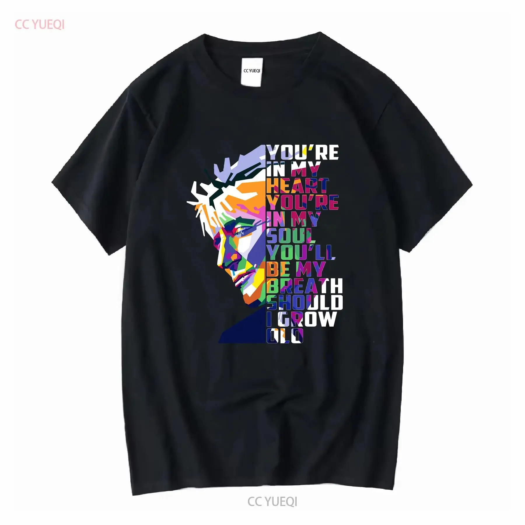 

full size Rod Stewart T Shirt HOT art new vintage Washed fashion graphic designer clothes Breathable Casual homme Soft Stylish