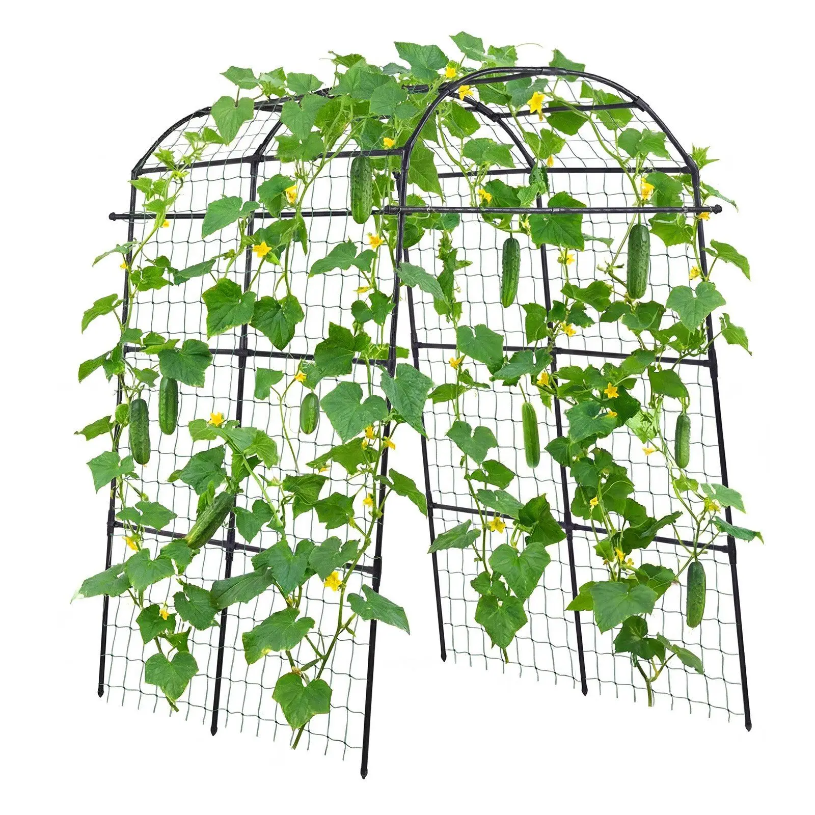 

Cucumber Trellis, U-Shape Garden Trellises for Raised Bed, Metal Arch Plant Support for Vine, Climbing Plants Outdoor, Peas,
