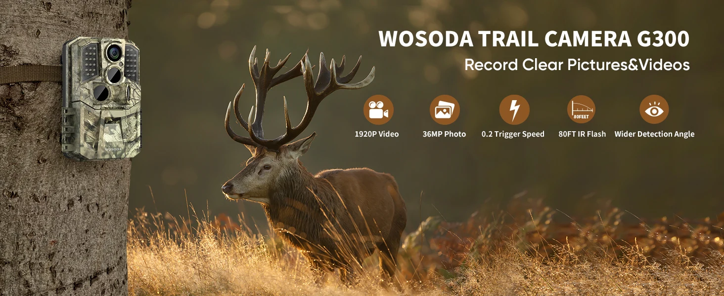 game camera