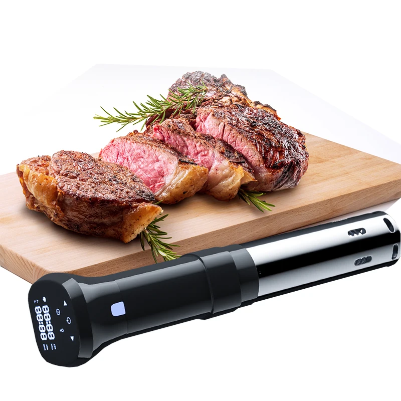 Temperatura e tempo ajustáveis da vara de cozimento da circulação do quente-mergulho da máquina do bife do cozimento molecular do fogão lento de baixa temperatura