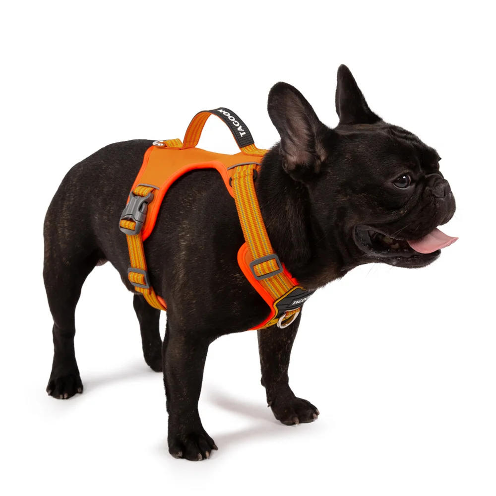 Starkes Hundeweste-Geschirr mit Griff, reflektierend, kein Ziehen, Brustgurte für Haustiere für kleine große Hunde, Outdoor-Walking-Trainingszubehör – Detail 7