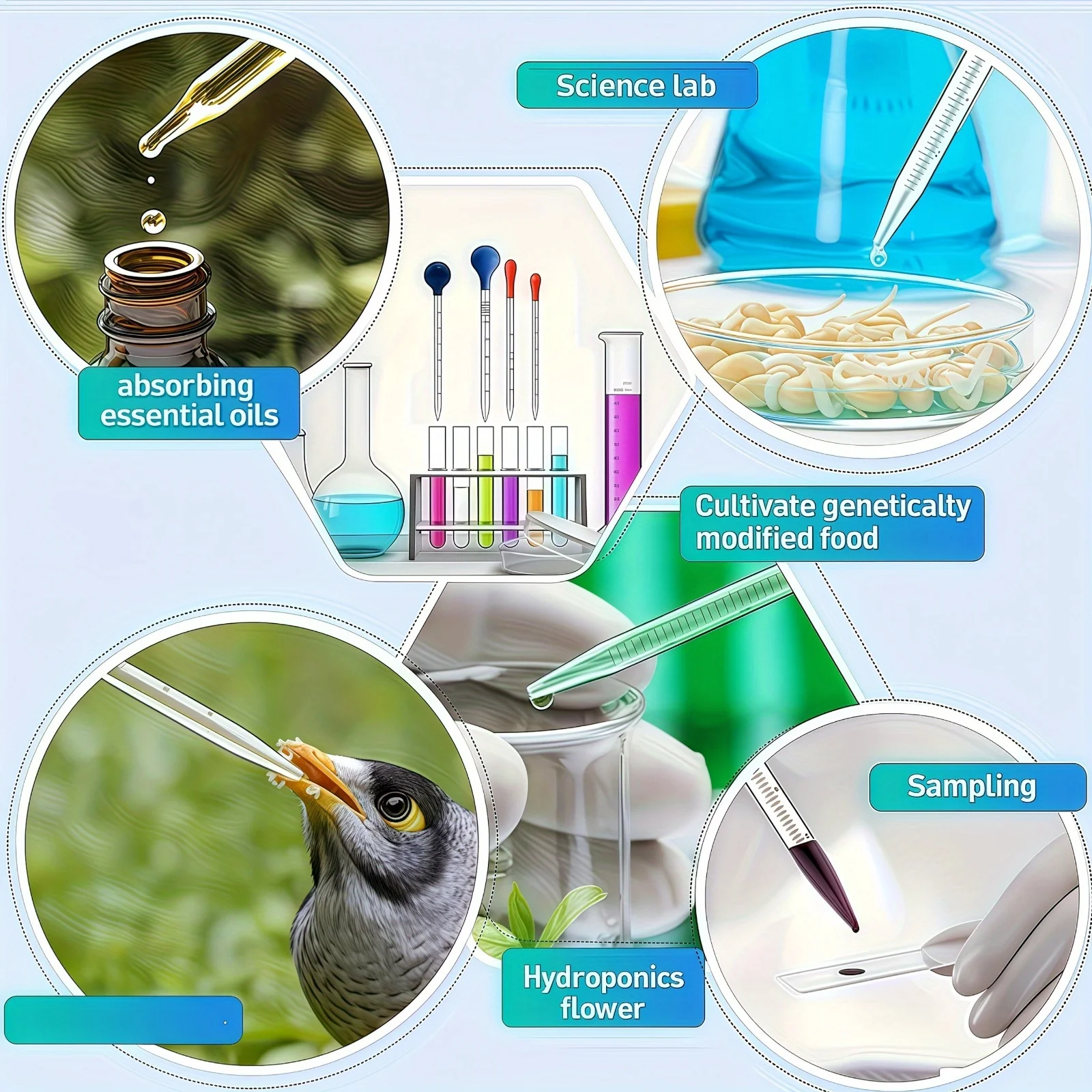 ماصة زجاجية، قطارة زجاجية 3 مل/10 مل مع قضيب تحريك زجاجي، فرشاة تنظيف 2 قطعة/4 قطعة