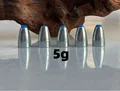 5g