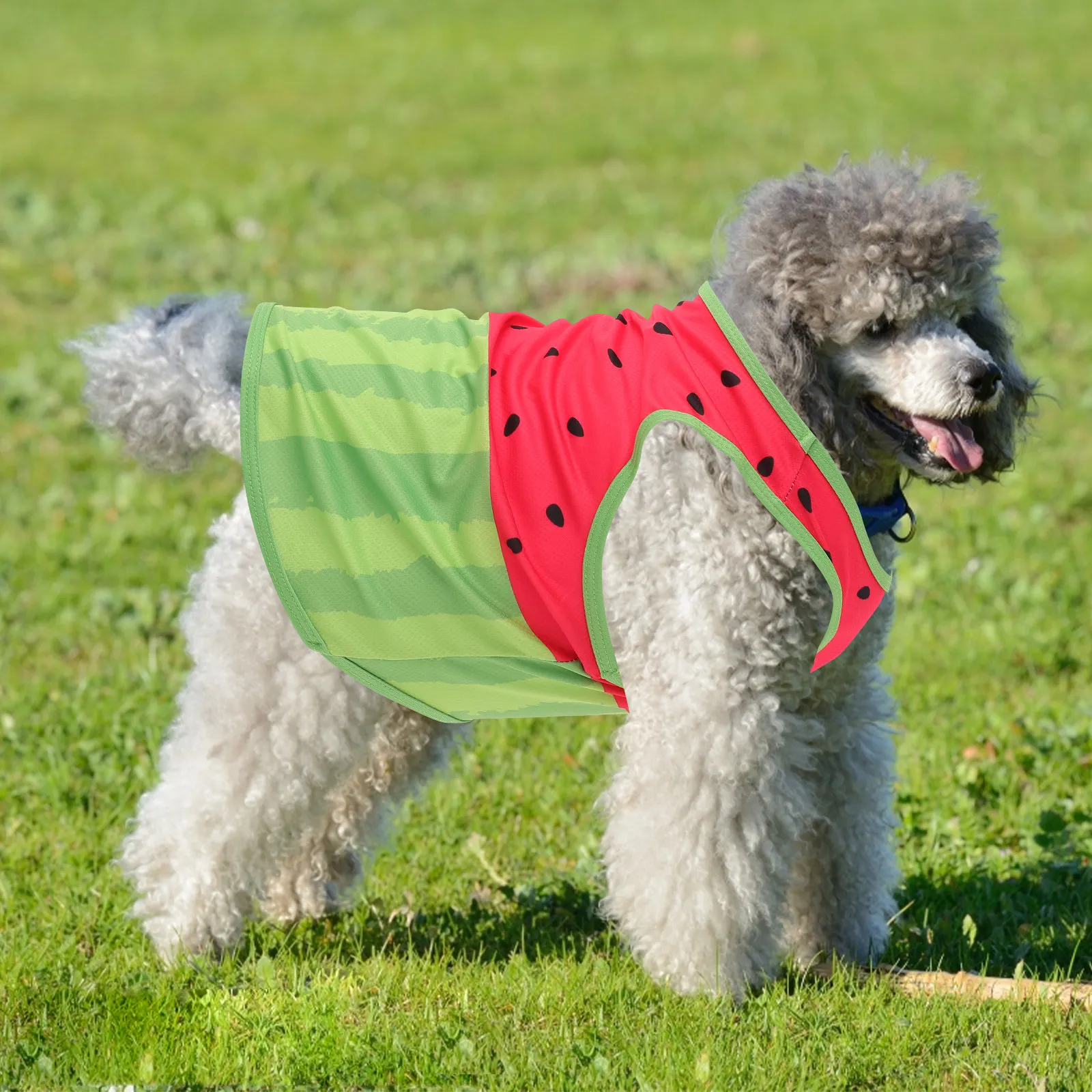 

Watermelon Pattern Dog Vest for Summer Cooling Breathable Silk Material Easy on Off Comfortable Fit for Small Medium Large Dogs